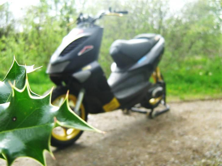 Aprilia Sr50 Ts T7 21,50 HK billede 13