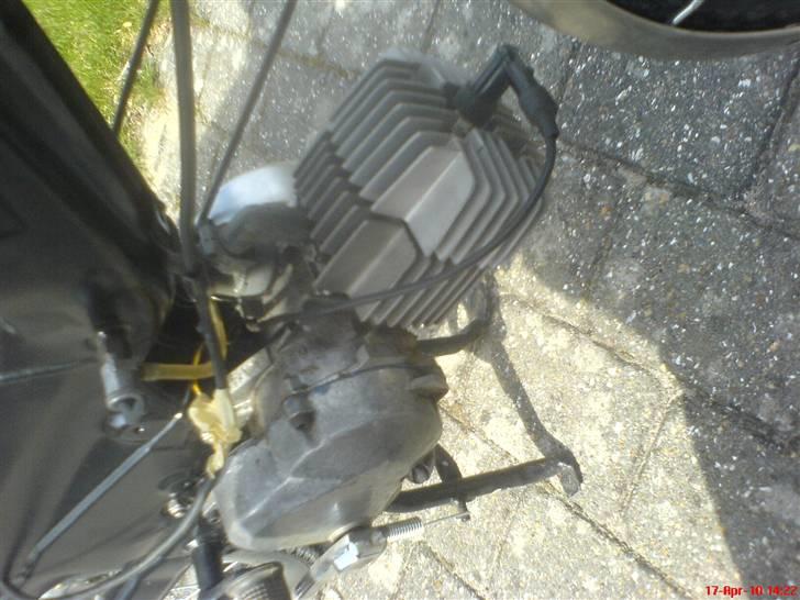 Puch Maxi KL  (solgt)   billede 6