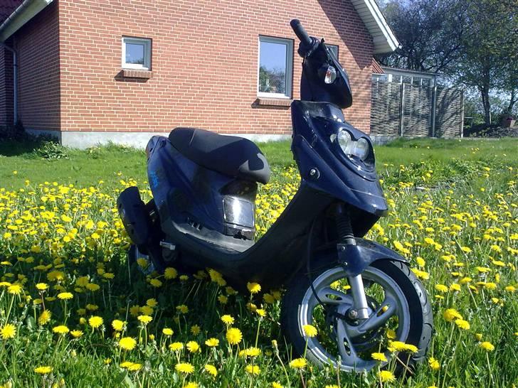 PGO Hot 50 (Byttet) billede 5