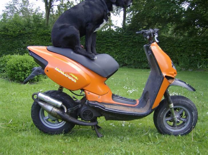 Aprilia Rally The Lion (BYTTET) billede 6