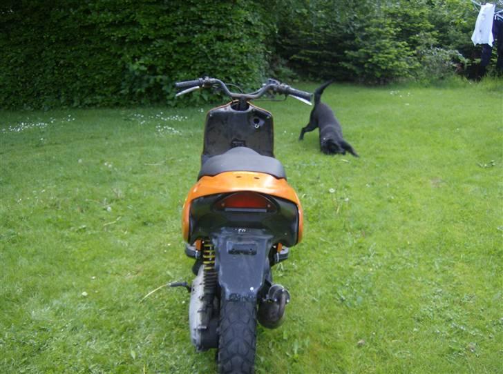 Aprilia Rally The Lion (BYTTET) billede 8