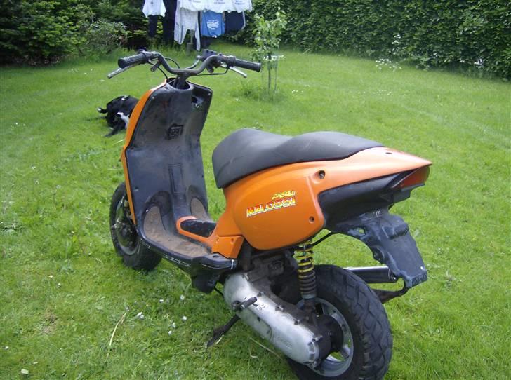 Aprilia Rally The Lion (BYTTET) billede 9