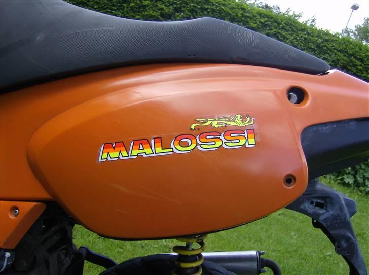 Aprilia Rally The Lion (BYTTET) billede 11