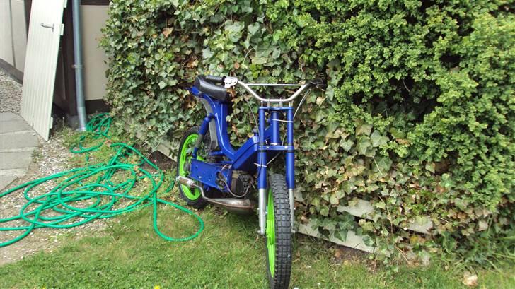 Vespa bravo billede 6