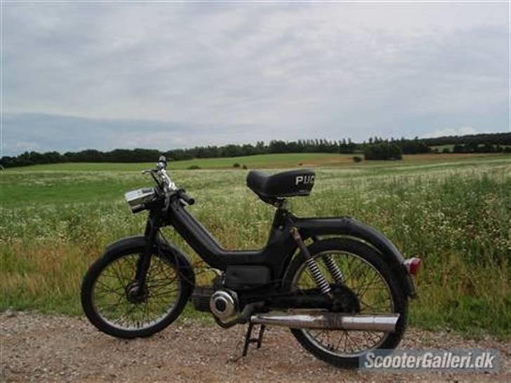 Puch Maxi kl (Solgt) - Gammelt Billed billede 9