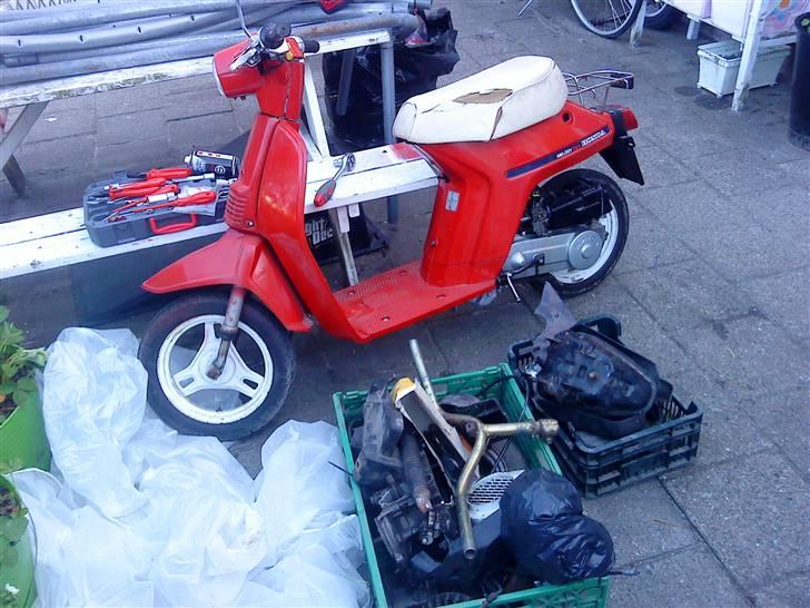 Honda Melody Mini #BYTTET#  billede 13