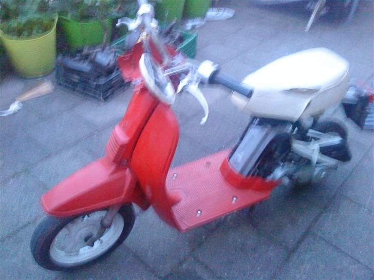 Honda Melody Mini #BYTTET#  billede 15