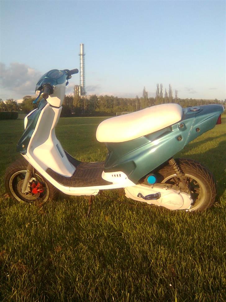 PGO Hot 50 BYTTET billede 14