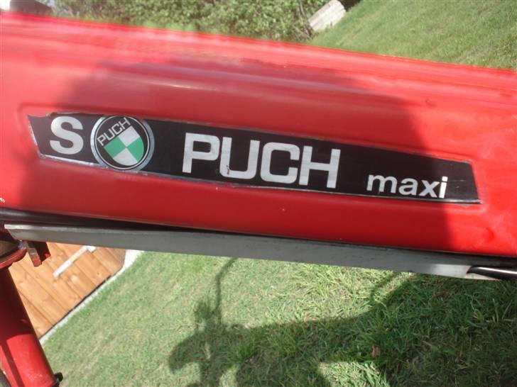 Puch Maxi-s     veteraner billede 17