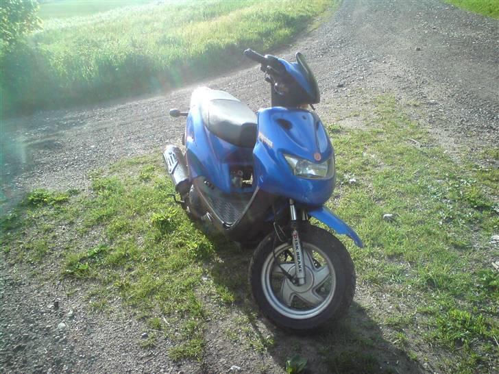 CPI Popcorn billede 9