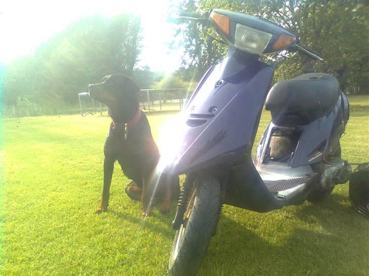 Yamaha Jog as SOLGT!!! billede 1