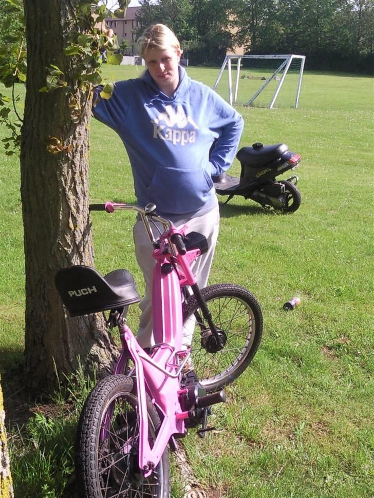 Puch maxi k billede 11