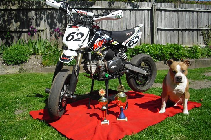 Kayo CRF-H NR. 62 billede 11