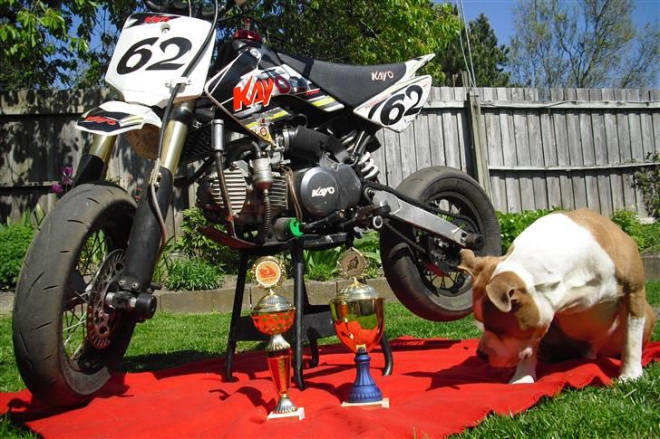 Kayo CRF-H NR. 62 billede 12