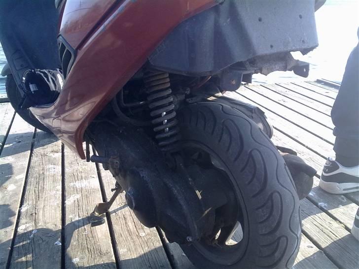 Suzuki address billede 18