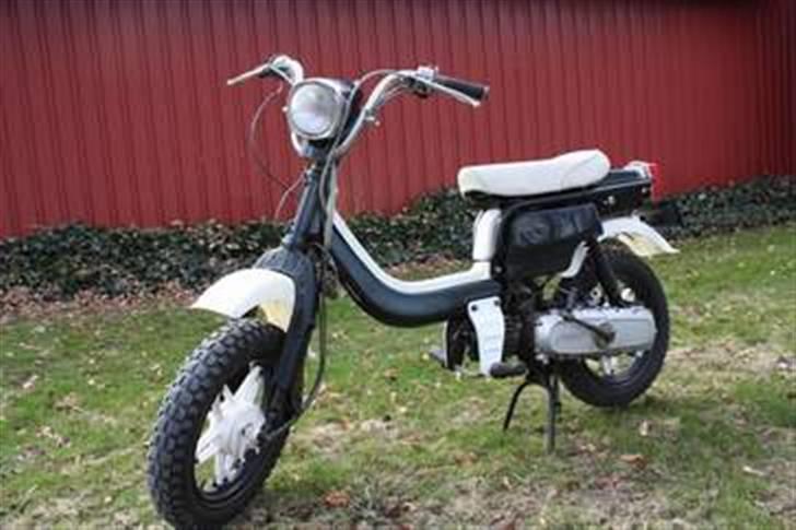 Suzuki Fz 50  billede 1