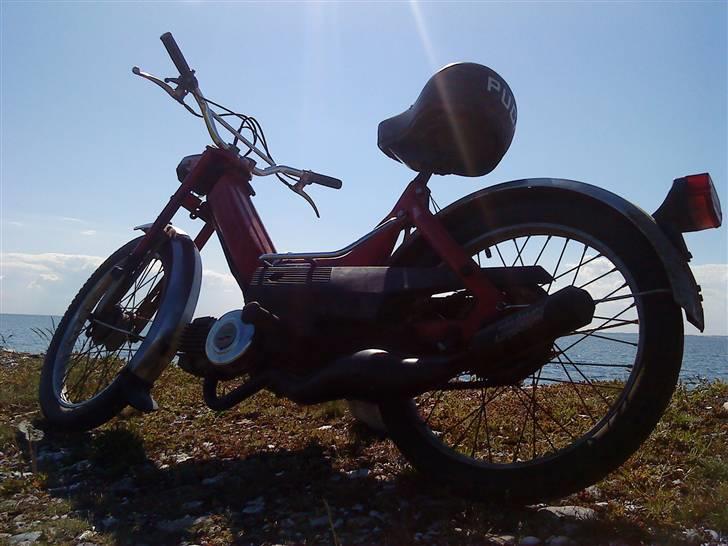 Puch Maxi ( under ombygning ) billede 4