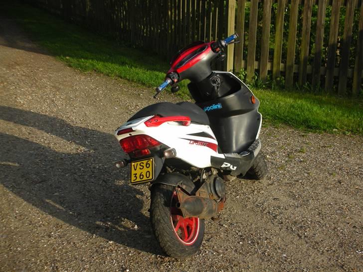 PGO Dr. Big billede 6