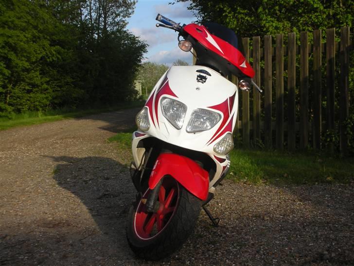 PGO Dr. Big billede 11