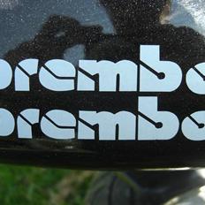 MiniBike 49cc West Racer