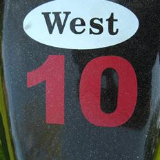 MiniBike 49cc West Racer