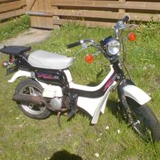 Suzuki FZ50 - SOLGT
