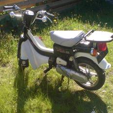 Suzuki FZ50 - SOLGT