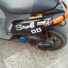 Piaggio typhoon død