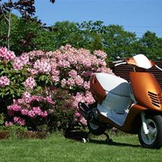 Aprilia Sonic Evo AC