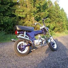 Skyteam dax 125ccm