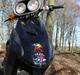 Honda SXR