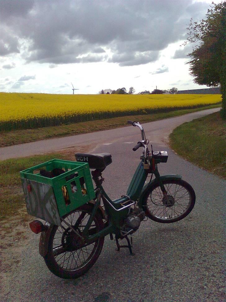 Puch Maxi K Jomfru Maria billede 10