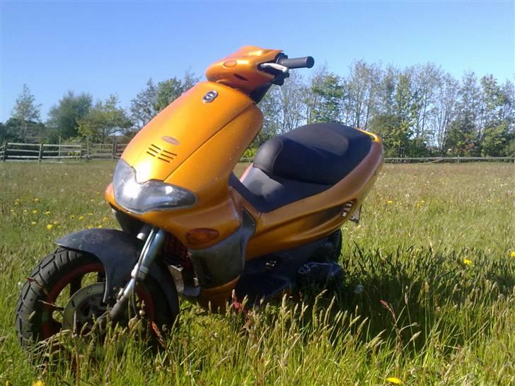 Gilera Runner DD solgt billede 4