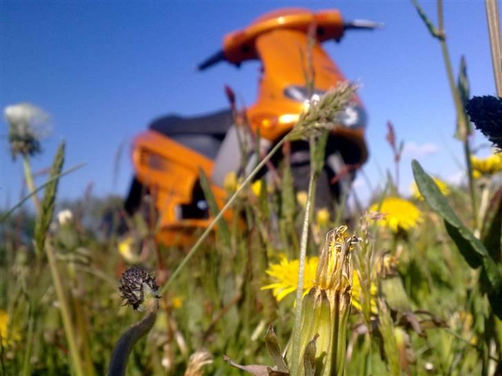 Gilera Runner DD solgt billede 6