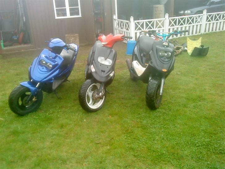 Gilera stalker solgt  - min stalker i midten  billede 1