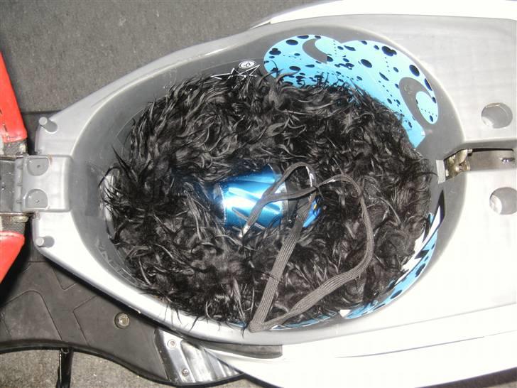 PGO Pmx ¤Byttet til Yamasaki¤ billede 11