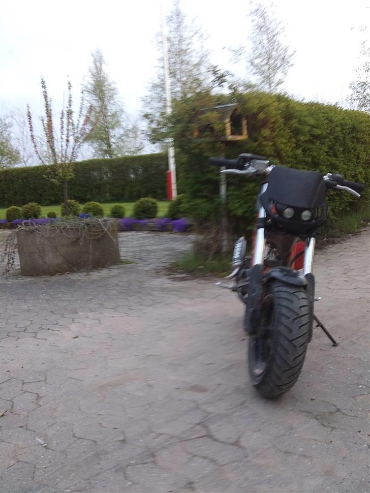 Suzuki Street Magic (Byttet) billede 9