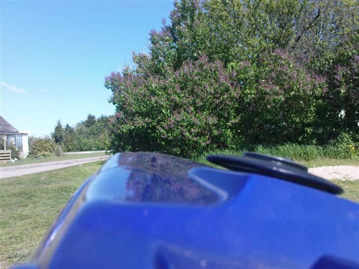 PGO hot 50 (solgt) billede 18