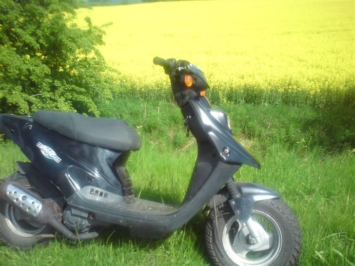 PGO hot 50 taget - der kommer bedre billeder!! billede 2