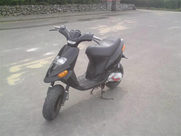 Gilera stalker "byttet" billede 1