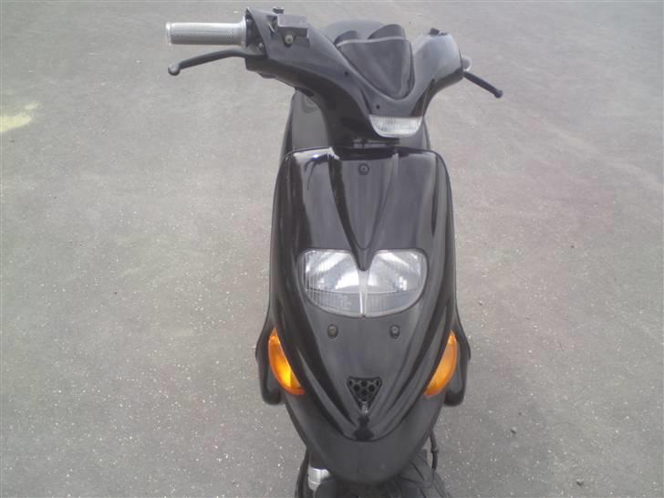 Gilera stalker "byttet" billede 2