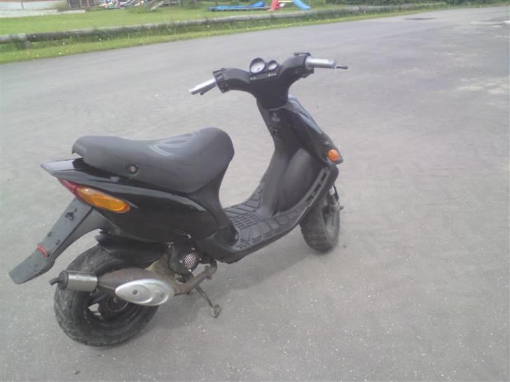 Gilera stalker "byttet" billede 3