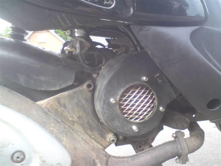 Gilera stalker "byttet" billede 4