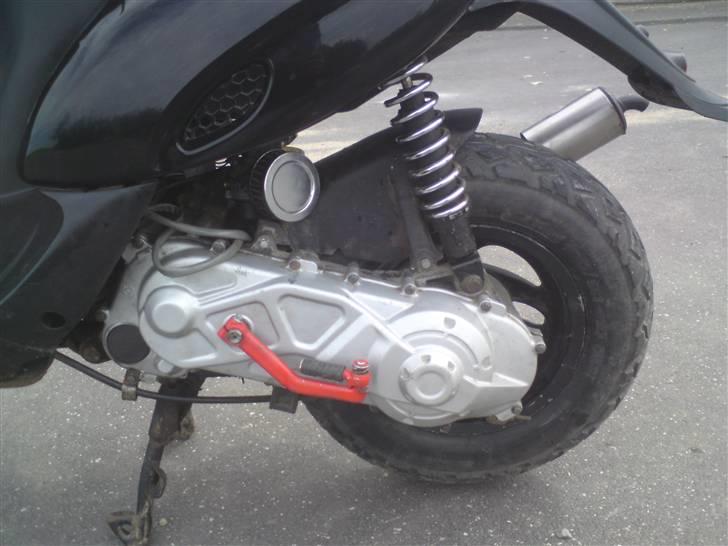 Gilera stalker "byttet" billede 6