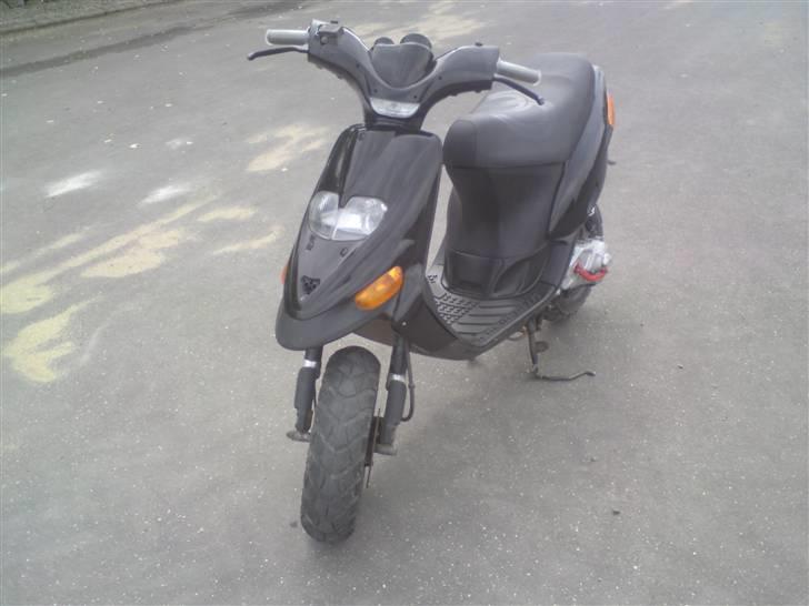 Gilera stalker "byttet" billede 9