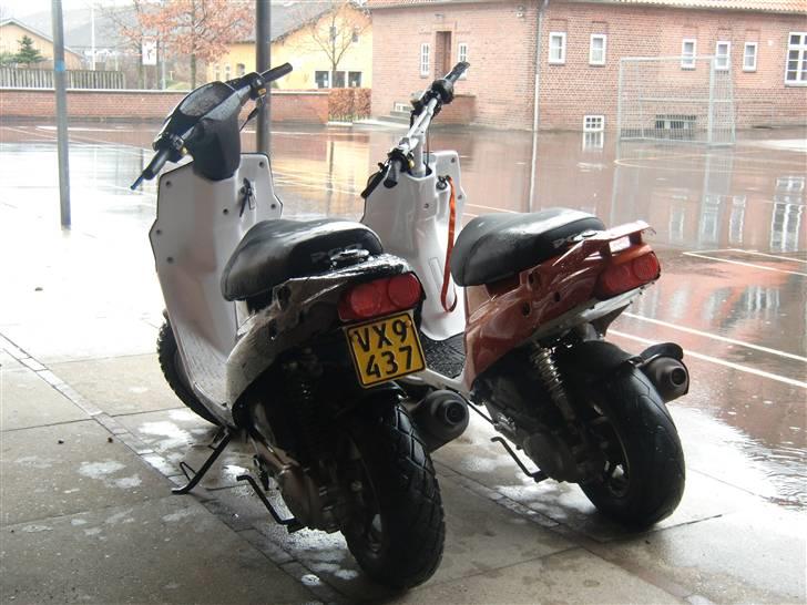 PGO hot 50 billede 19