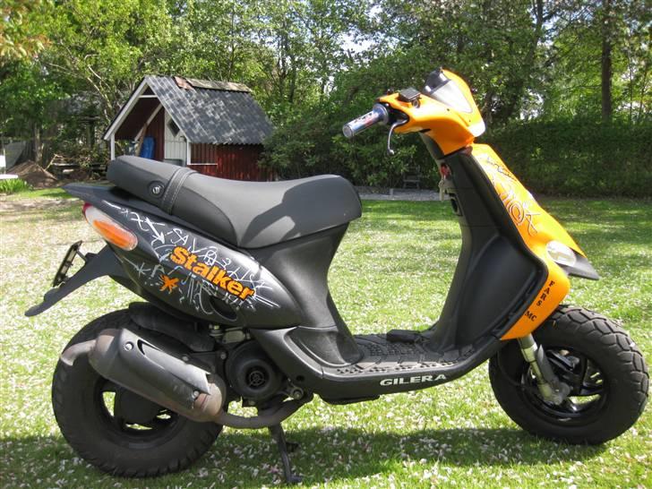 Gilera stalker - Tigerdyret! :) billede 4