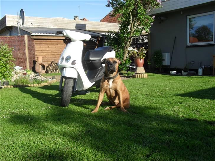 Yamaha Neos SOLGT billede 1