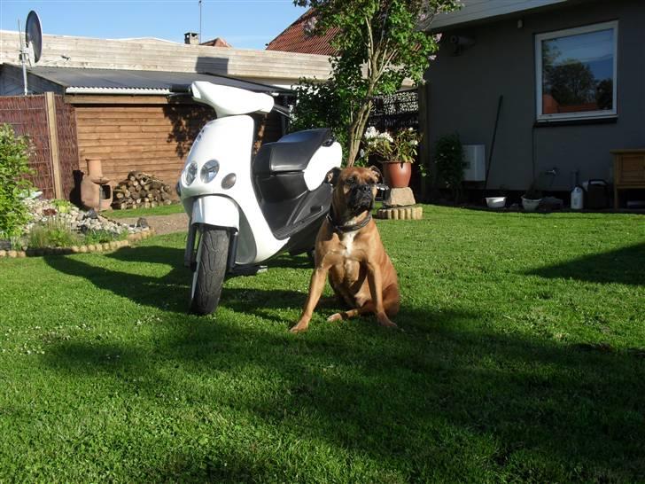 Yamaha Neos SOLGT billede 7