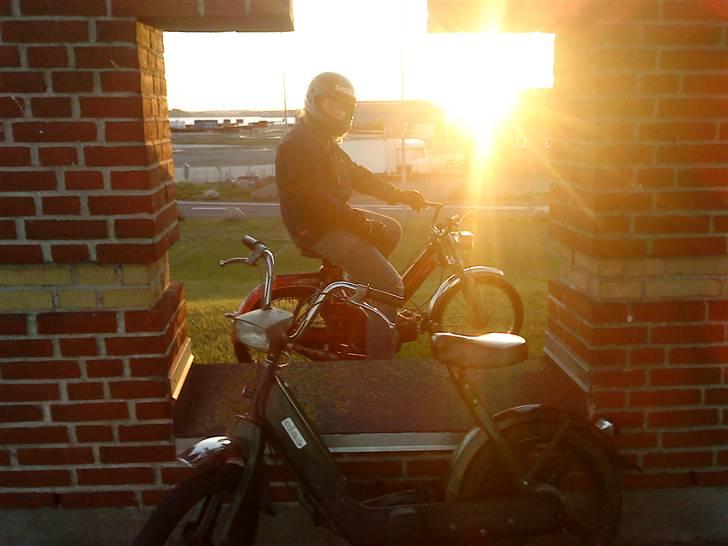 Vespa Ciao - Se den bondeknold på en maxi :S :D billede 1